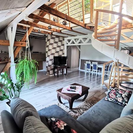 דירות קרולאנקי Apartament Z Antresola W Zywkach מראה חיצוני תמונה
